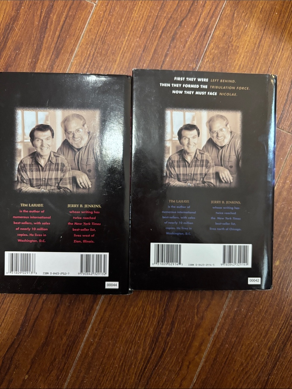 2Book Bundle by Tim LaHaye & Jerry B. Jenkins - Picture 2 of 10
